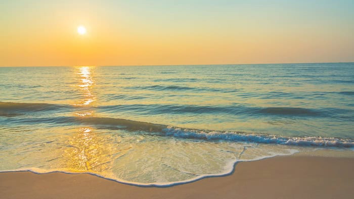 Things to Do in George